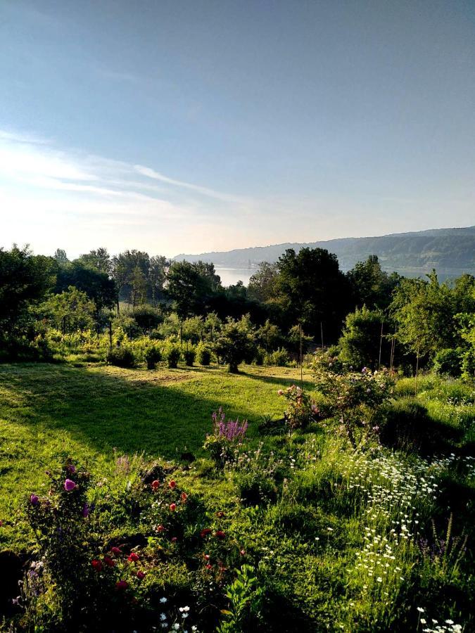 Seenah - Ihre Wohnung Am Bodensee / Untersee Gaienhofen  Buitenkant foto